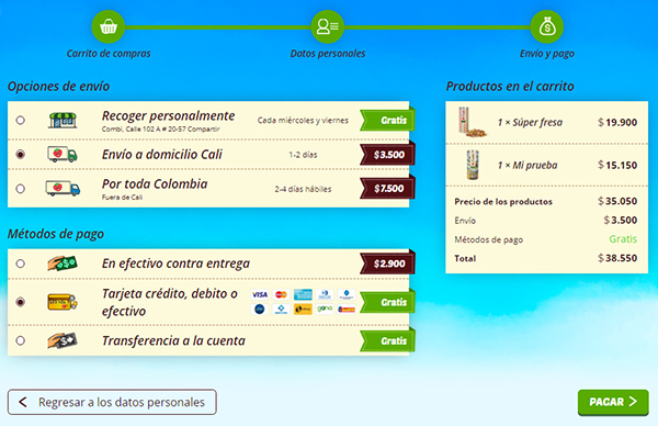 Escogiendo el pago y entrega